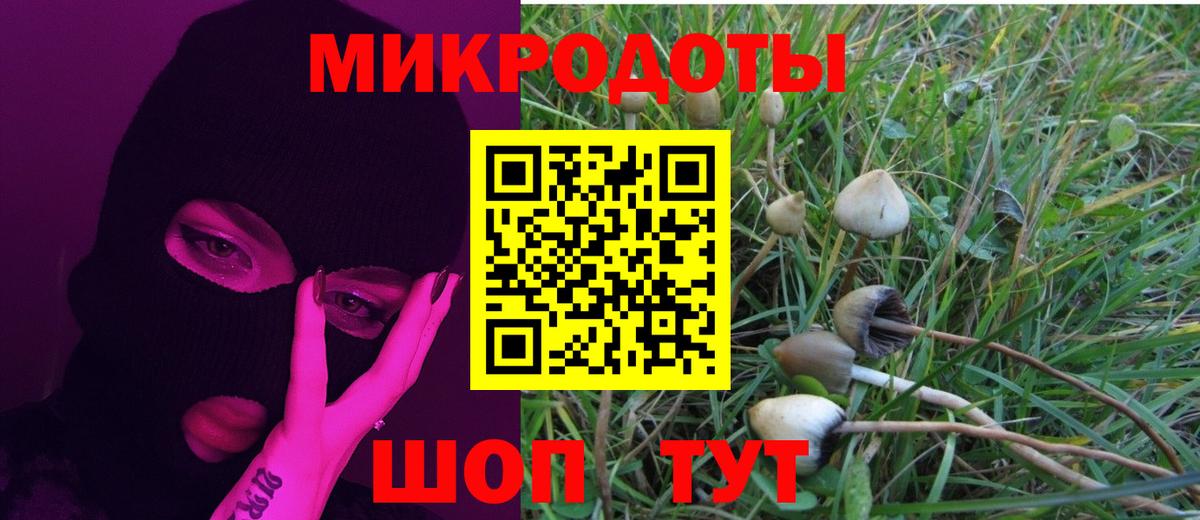 Псилоцибиновые грибы мицелий  Вход с VPN  Клин  Галлюциногенные грибы MAGIC MUSHROOMS 